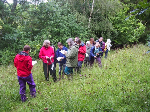 Group of people standing looking at wildflowers and identification books