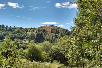 Wooded landscape with hill in the background