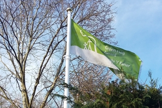 Green Flag in situ at Severn Farm Pond Nature Reserve copyright Montgomeryshire Wildlife Trust