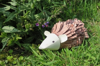 Hedgehog Friend in the garden copyright Rebecca Wallbank