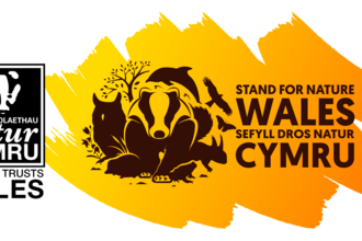 Stand for Nature Wales project logo