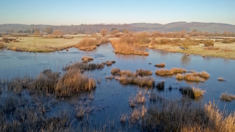Dolydd Hafren Nature Reserve in the winter