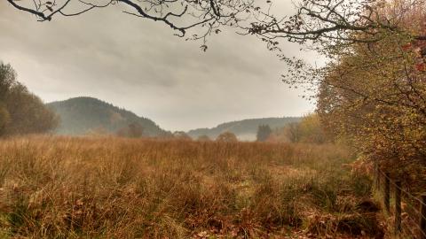 Dyfnant Meadows in autumn