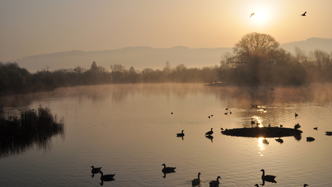 Photograph of lake on nature reserve at sunrise on a misty Autumn morning