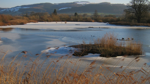 Llyn Coed y Dinas Nature Reserve in winter