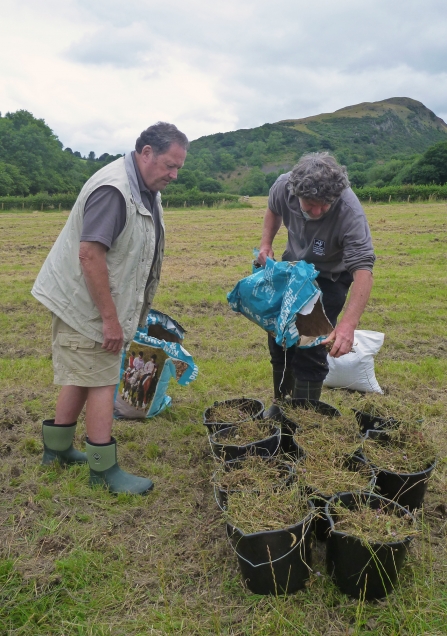 Volunteers preparing meadow seed for broadcasting