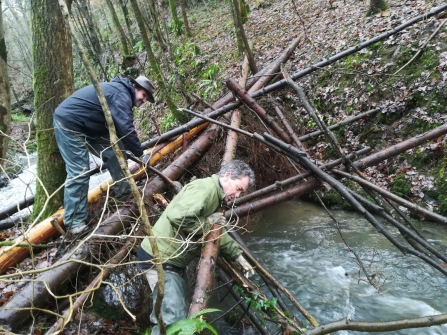 Creating a 'leaky dam' in Deri Woods copyright Montgomeryshire Wildlife Trust