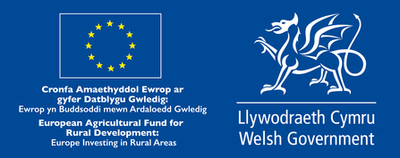 This project has received funding through the Welsh Government Rural Communities - Rural Development Programme 2014-2020, which is funded by the European Agricultural Fund for Rural Development and the Welsh Government