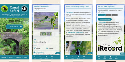 Four screenshots from Canal Safari app