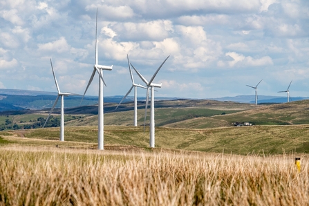 Wind turbines in landscape
