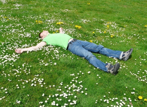 man at rest on flowery lawn