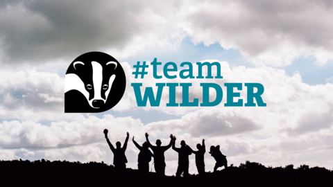 A group pf people, with their hands in the air in a celebratory manner, are silhouetted against the sky, with the Team Wilder logo overlaid