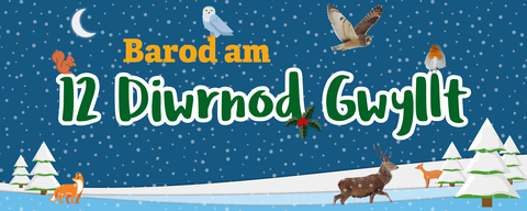 12 Days Wild 2023 Web Banner_Welsh