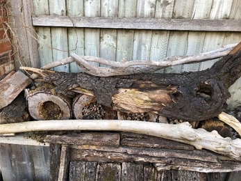 Insects homes in Phil Stallard's garden copyright Ceri Jones