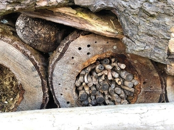 Close up of some of the insect homes in Phil's garden copyright Ceri Jones