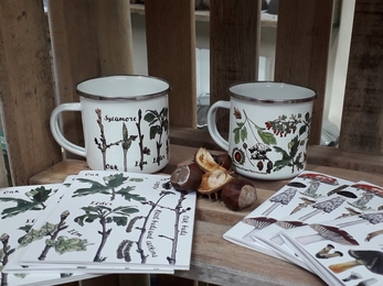 A close-up of some enamel mugs and prints featuring nature-inspired designs