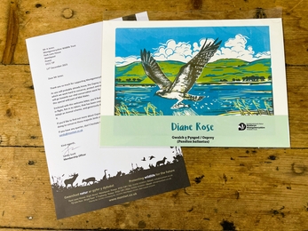 Osprey print and letter_edited
