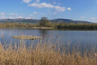 Gwarchodfa Natur Llyn Coed y Dinas yn gynnar yn y gwanwyn