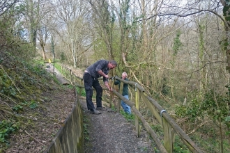 Volunteer activity in Deri Woods Llanfair Caereinion