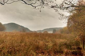 Dyfnant Meadows in autumn