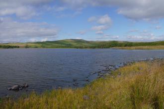 Llyn Mawr Nature Reserve