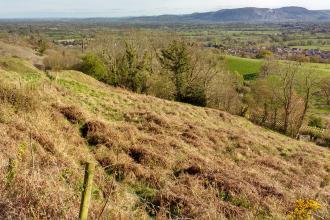 Gwarchodfa Natur Llanymynech Rocks - golygfa yn y gwanwyn © YNM