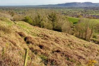 Gwarchodfa Natur Llanymynech Rocks  - golygfa yn y gwanwyn © YNM