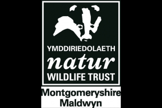 MWT logo