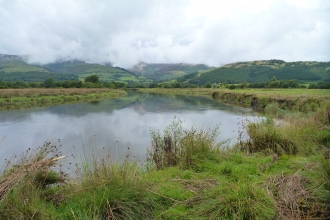 Morfa Dyfi William Condry Nature Reserve in the summer