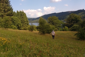 Local Wildlife Site surveyor in grassland site by Lake Vyrnwy copyright Montgomeryshire Wildlife Trust