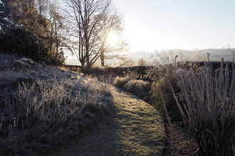 Frosty Garden