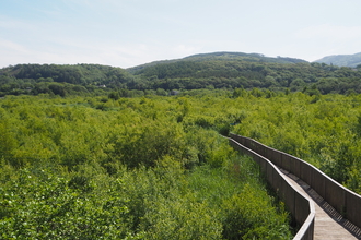 Cors Dyfi. from the 360 observatory 