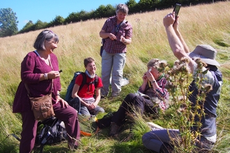 People smiling and laughing whilst identifying bumblebees