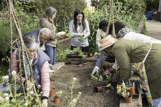 A group pf people, all ages and ethnicities, gardening at a community allotment