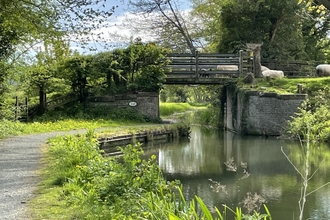 A bridge over the Montgomery Canal with sheep crossing a bridge