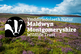 Upland lake surrounded by heather moorland, with MWT logo overlaid