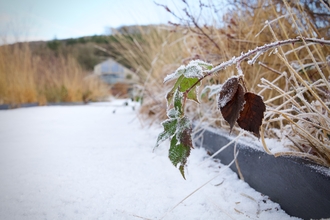 Cors Dyfi in the snow, Dyfi Wildlife Centre in the background