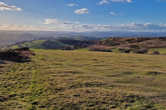 A view of a landscape with grassland, bracken and scattered gorse bushes, stretching away to distant hills and mountains. There is a blue sky with a few white clouds.