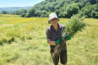 Female volunteer holding some cleared scrub in the summer on MWT's Roundton Hill nature reserve