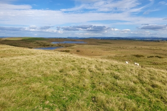 A wide landscape view of an expansive upland area of grassland, blanket bog, lakes and small patches of scrub. There are a couple of sheep in the mid foreground. The sky is largely blue with some white clouds.