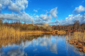 Pool at Cors Dyfi with spring sunshine and reflections