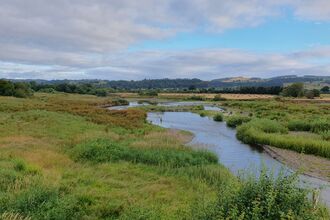 Landscape of Dolydd Hafren nature reserve, with the river in shot