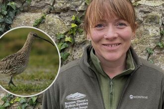 Close up of woman outside with inset picture of a Curlew