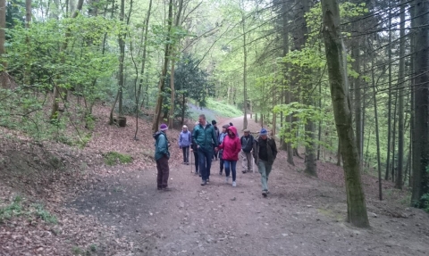 People enjoying Deri Woods copyright MWT