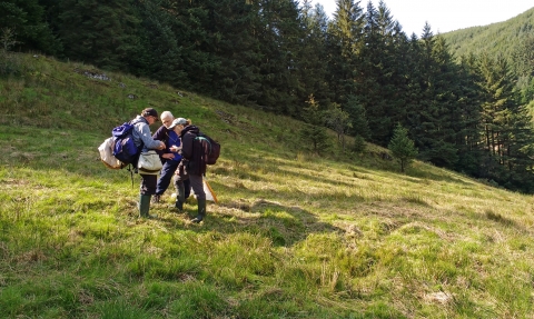 Volunteers survey the invertebrates on a Local Wildlife Site copyright Montgomeryshire Wildlife Trust