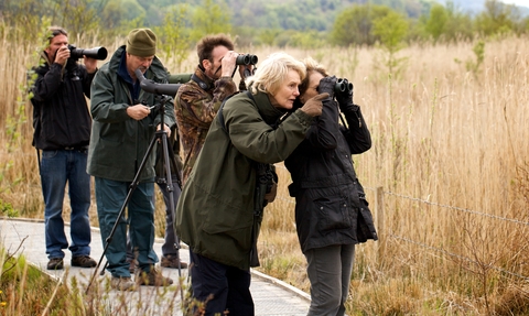 Birdwatchers at Cors Dyfi