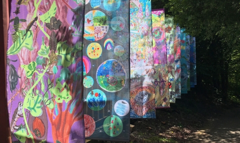 Art Oasis banners at Severn Farm Pond copyright Montgomeryshire Wildlife Trust