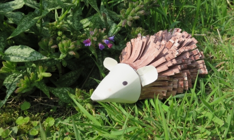 Hedgehog Friend in the garden copyright Rebecca Wallbank