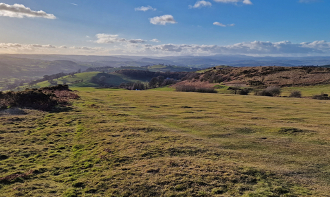 A view of a landscape with grassland, bracken and scattered gorse bushes, stretching away to distant hills and mountains. There is a blue sky with a few white clouds.