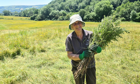 Female volunteer holding some cleared scrub in the summer on MWT's Roundton Hill nature reserve